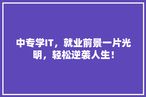中专学IT，就业前景一片光明，轻松逆袭人生！