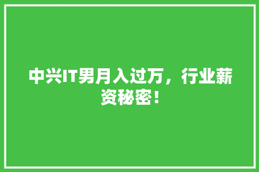 中兴IT男月入过万，行业薪资秘密！ MySQL