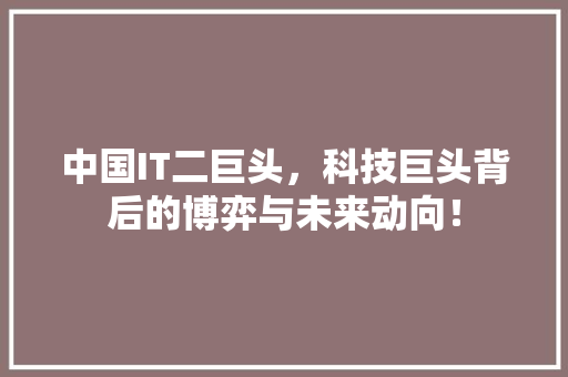 中国IT二巨头，科技巨头背后的博弈与未来动向！