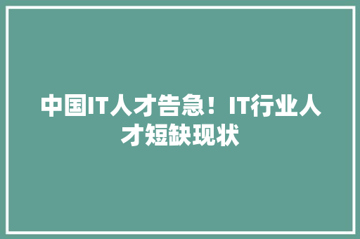 中国IT人才告急！IT行业人才短缺现状 项目报告