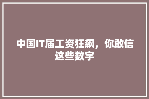 中国IT届工资狂飙，你敢信这些数字 后端技术