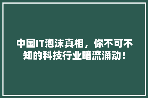 中国IT泡沫真相，你不可不知的科技行业暗流涌动！