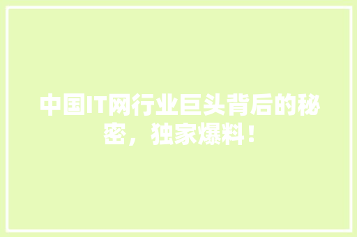 中国IT网行业巨头背后的秘密，独家爆料！
