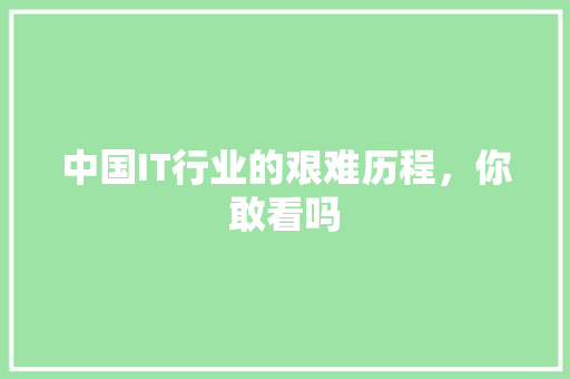 中国IT行业的艰难历程，你敢看吗