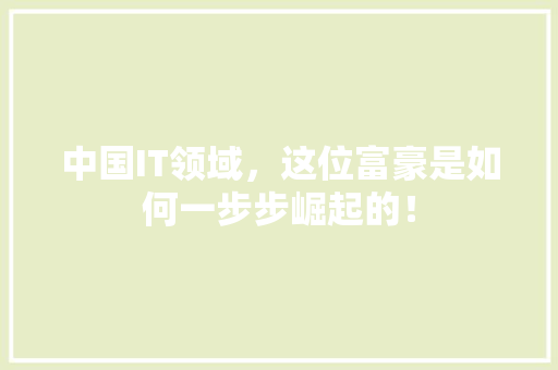 中国IT领域，这位富豪是如何一步步崛起的！