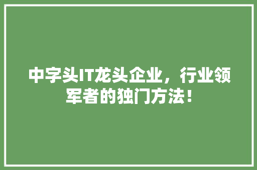 中字头IT龙头企业，行业领军者的独门方法！