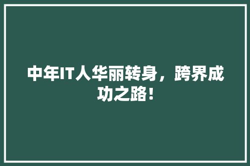 中年IT人华丽转身，跨界成功之路！