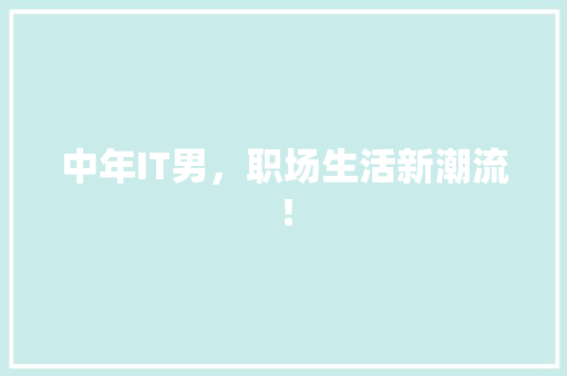 中年IT男，职场生活新潮流！