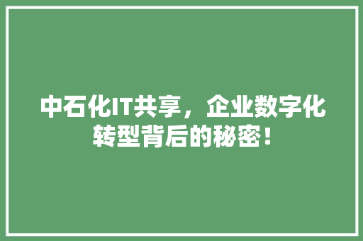 中石化IT共享，企业数字化转型背后的秘密！