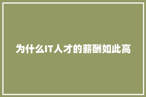 为什么IT人才的薪酬如此高 网站建设