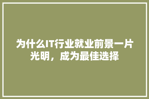 为什么IT行业就业前景一片光明，成为最佳选择 商务信函