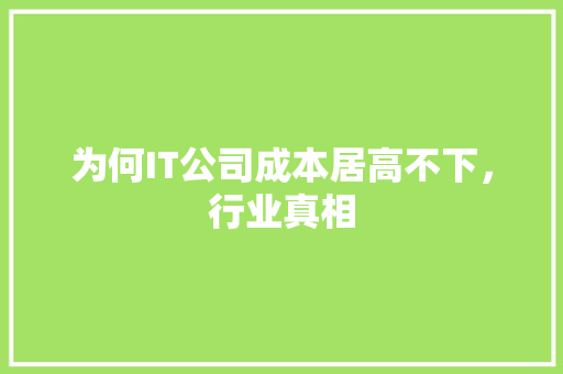 为何IT公司成本居高不下，行业真相