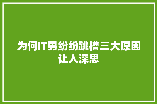 为何IT男纷纷跳槽三大原因让人深思 项目报告