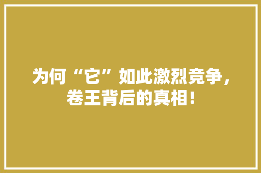 为何“它”如此激烈竞争，卷王背后的真相！ 后端技术