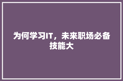 为何学习IT，未来职场必备技能大 市场营销范文