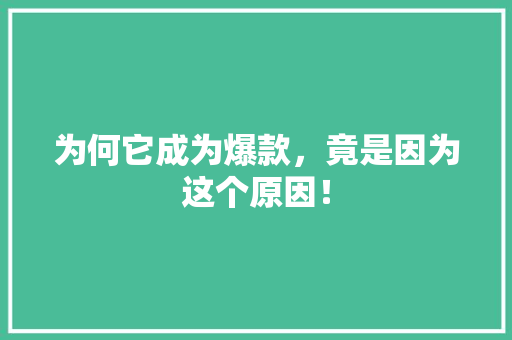 为何它成为爆款，竟是因为这个原因！ MySQL