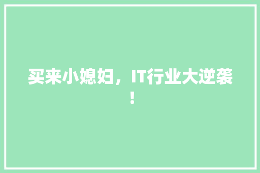 买来小媳妇，IT行业大逆袭！ 市场营销范文