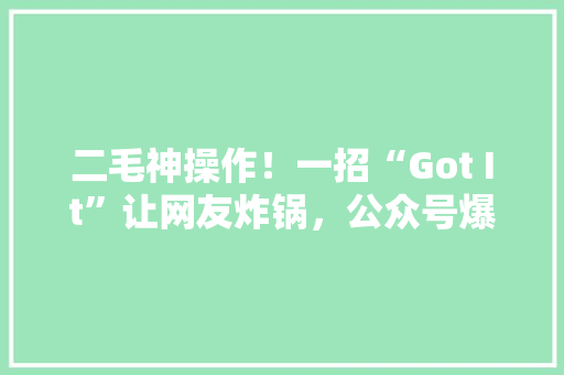 二毛神操作！一招“Got It”让网友炸锅，公众号爆款来袭！