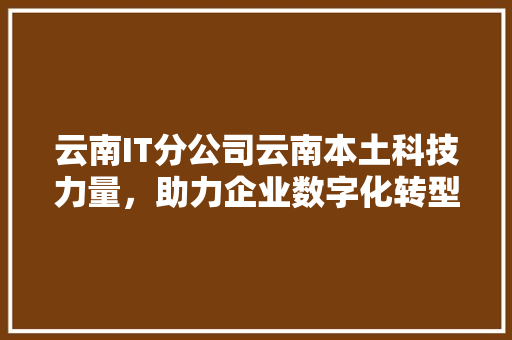云南IT分公司云南本土科技力量，助力企业数字化转型！ 项目报告
