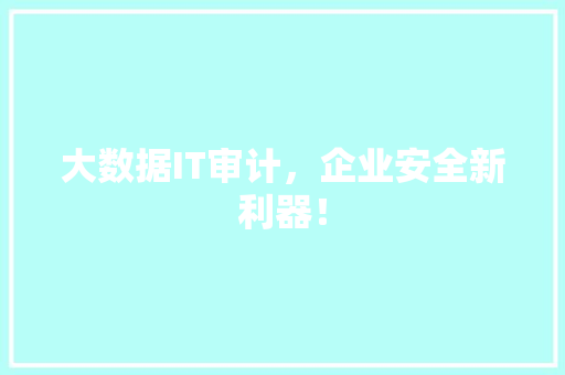 大数据IT审计，企业安全新利器！