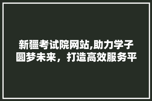 新疆考试院网站,助力学子圆梦未来，打造高效服务平台