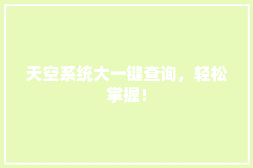 天空系统大一键查询，轻松掌握！