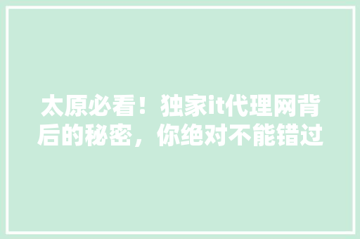 太原必看！独家it代理网背后的秘密，你绝对不能错过！