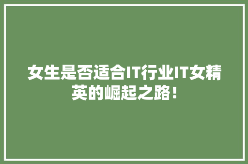 女生是否适合IT行业IT女精英的崛起之路！