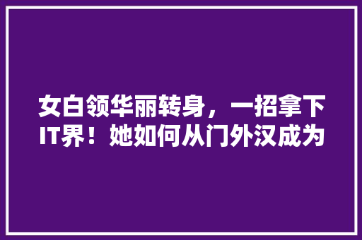 女白领华丽转身，一招拿下IT界！她如何从门外汉成为行业精英！