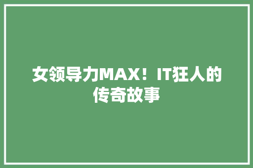 女领导力MAX！IT狂人的传奇故事