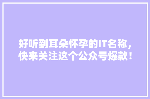 好听到耳朵怀孕的IT名称，快来关注这个公众号爆款！