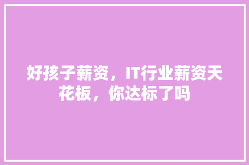 好孩子薪资，IT行业薪资天花板，你达标了吗