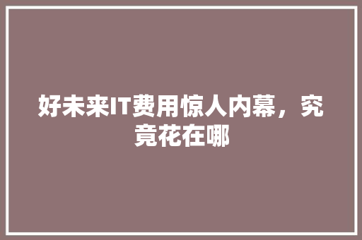 好未来IT费用惊人内幕，究竟花在哪