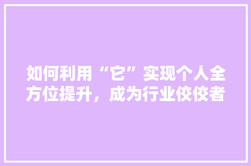如何利用“它”实现个人全方位提升，成为行业佼佼者！
