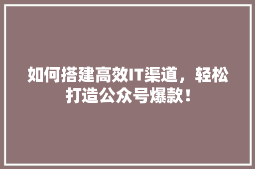 如何搭建高效IT渠道，轻松打造公众号爆款！