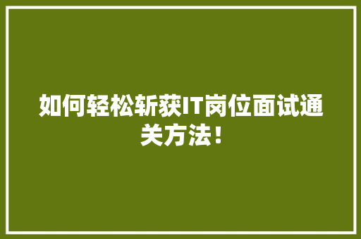 如何轻松斩获IT岗位面试通关方法！