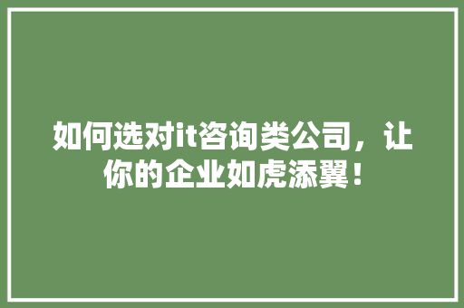 如何选对it咨询类公司，让你的企业如虎添翼！