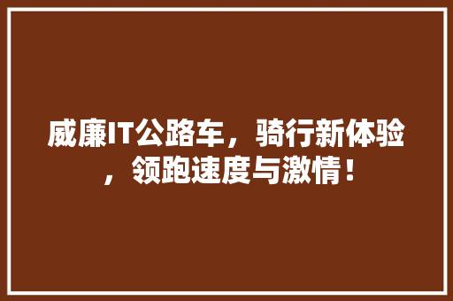 威廉IT公路车，骑行新体验，领跑速度与激情！