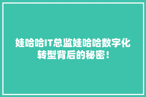 娃哈哈IT总监娃哈哈数字化转型背后的秘密！
