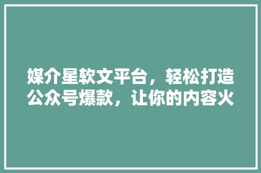 媒介星软文平台，轻松打造公众号爆款，让你的内容火遍全网！