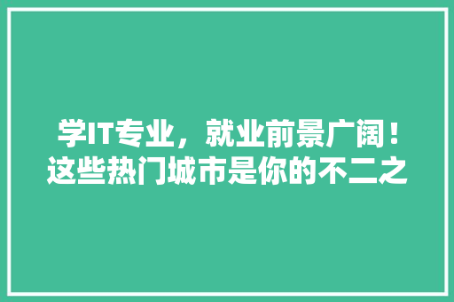 学IT专业，就业前景广阔！这些热门城市是你的不二之选