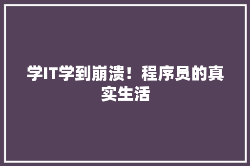 学IT学到崩溃！程序员的真实生活