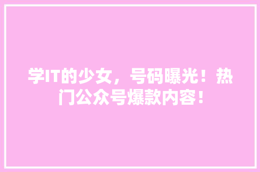 学IT的少女，号码曝光！热门公众号爆款内容！