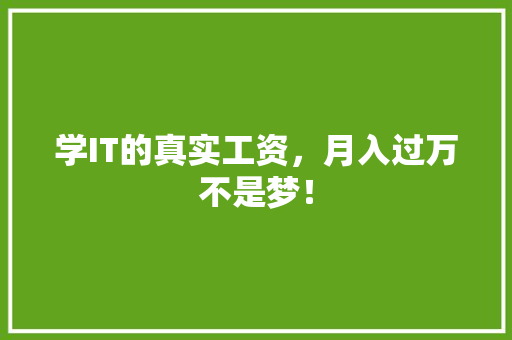 学IT的真实工资，月入过万不是梦！