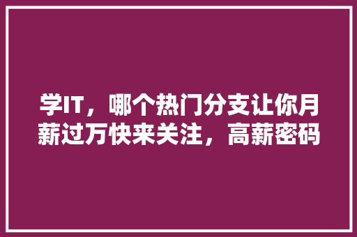 学IT，哪个热门分支让你月薪过万快来关注，高薪密码！