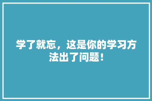 学了就忘，这是你的学习方法出了问题！