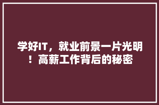 学好IT，就业前景一片光明！高薪工作背后的秘密