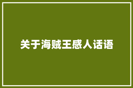 它、他、她it的所有变形，带你领略语言的魅力
