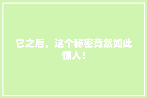 它之后，这个秘密竟然如此惊人！