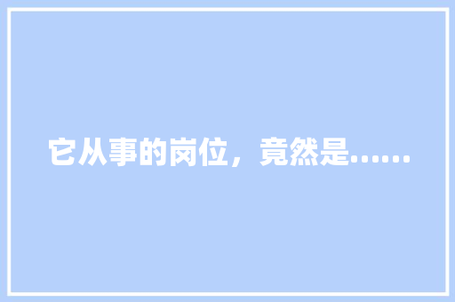 它从事的岗位，竟然是……